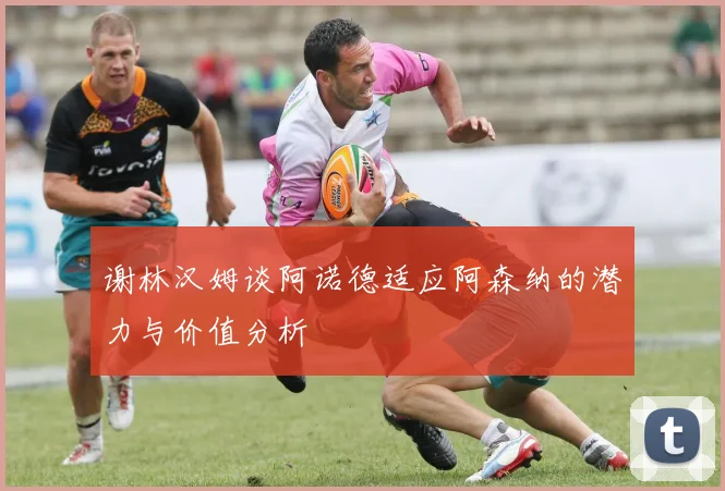谢林汉姆谈阿诺德适应阿森纳的潜力与价值分析