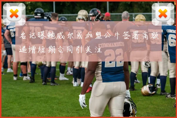 名记曝鲍威尔或加盟公牛签署高额递增短期合同引关注